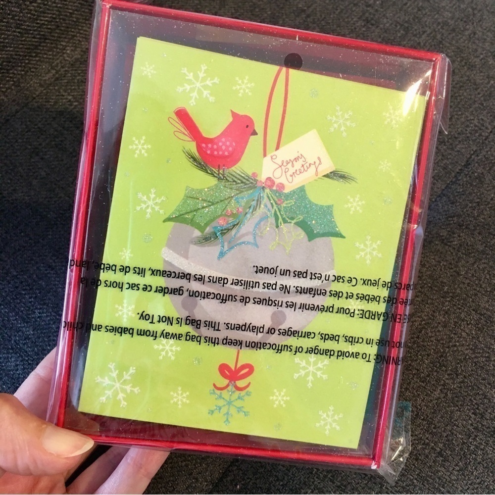 Box/20 Papyrus “Season’s Greetings” Cards + Envelopes, Red, Green, Birds